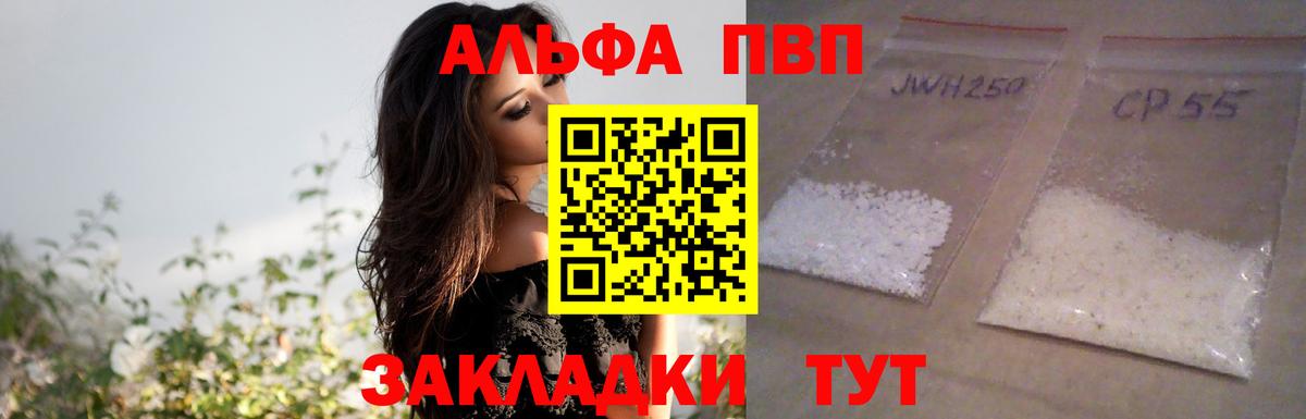 Альфа ПВП СК Урус-Мартан