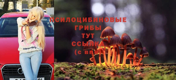 ALPHA PVP Михайловск