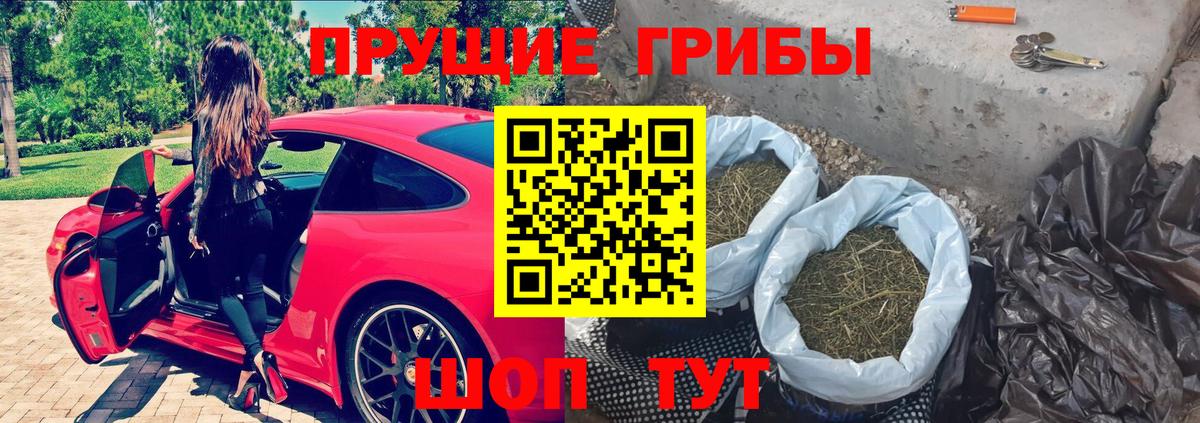 Урус-Мартан  Псилоцибиновые грибы ЛСД  Вход с VPN  Галлюциногенные грибы ЛСД 