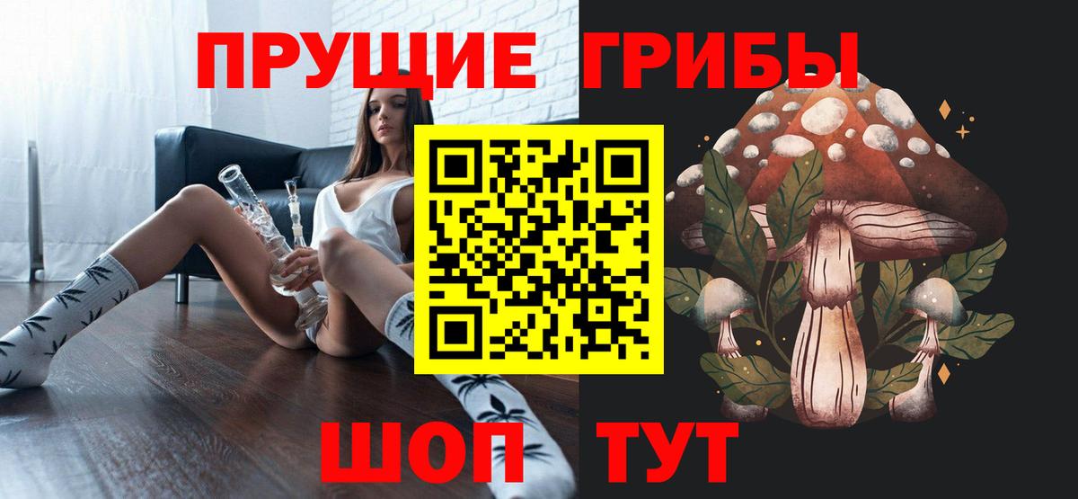 Галлюциногенные грибы Cubensis Урус-Мартан